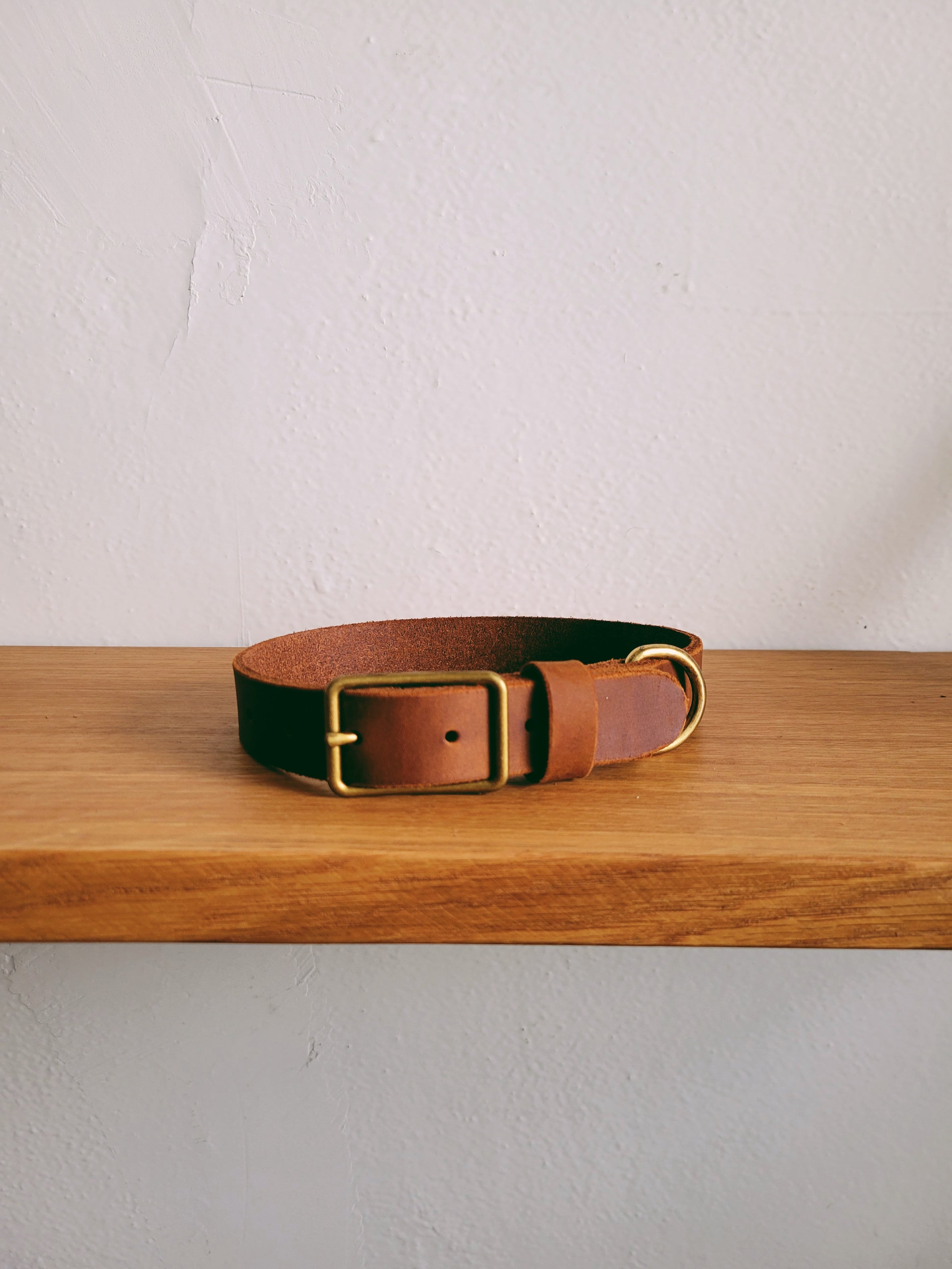 A Well Worn Story - Dog Collar