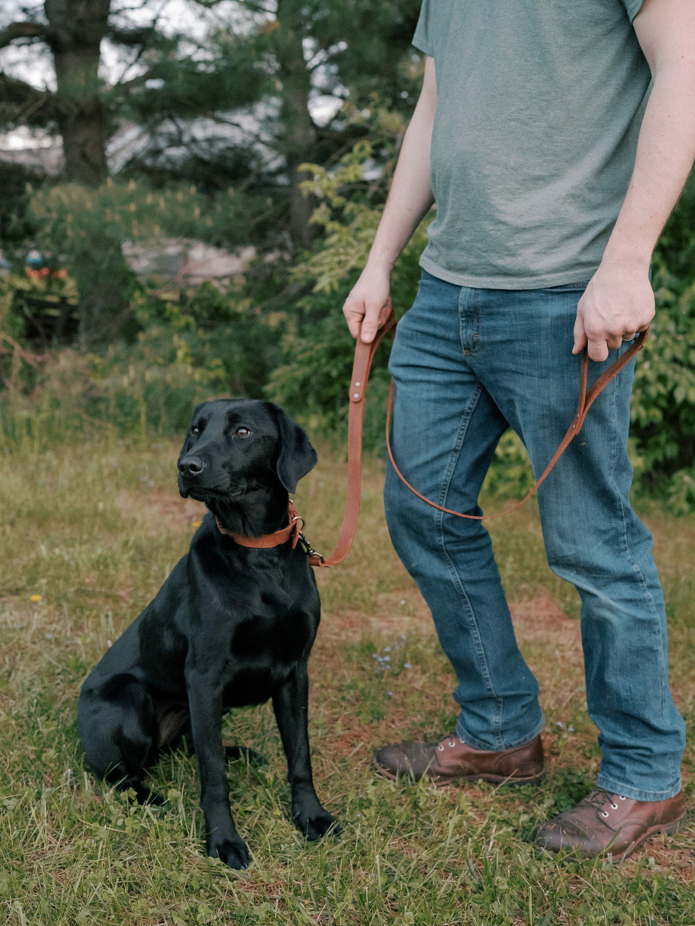 A Well Worn Story - Dog Leash